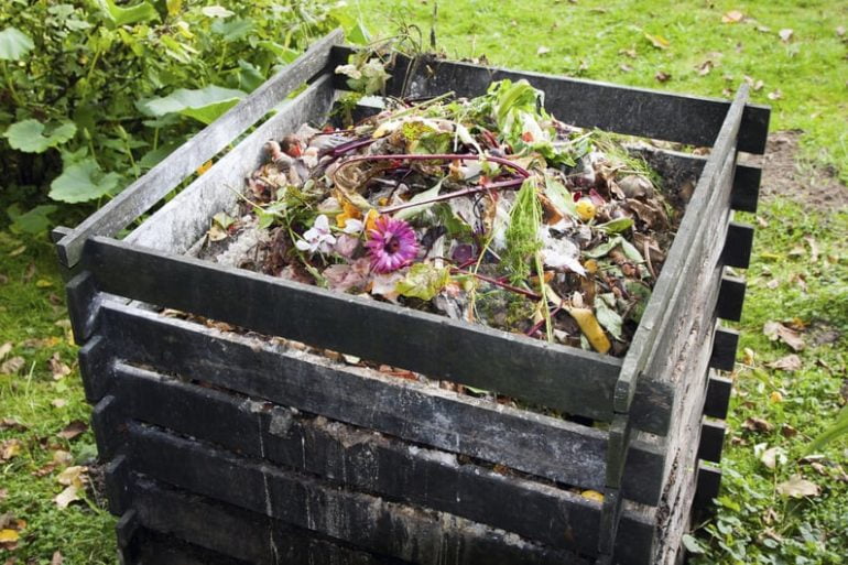 compost pour le jardin