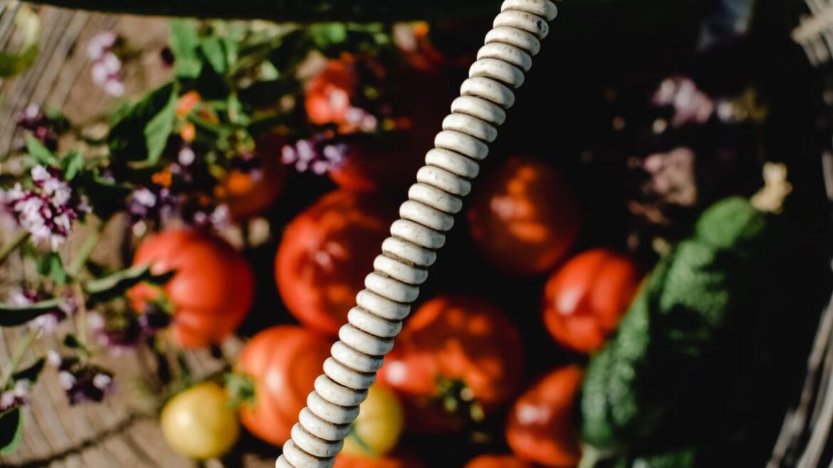 Alimentation locale en 2026 : mythe ou réalité ?