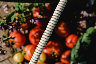 Alimentation locale en 2026 : mythe ou réalité ?
